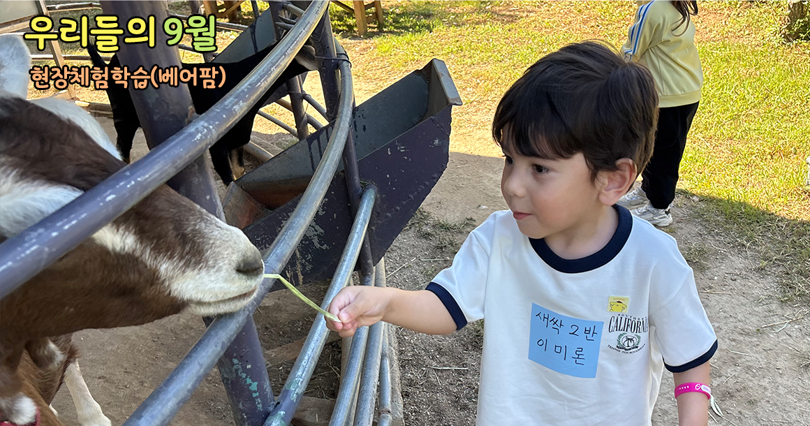 메인비주얼